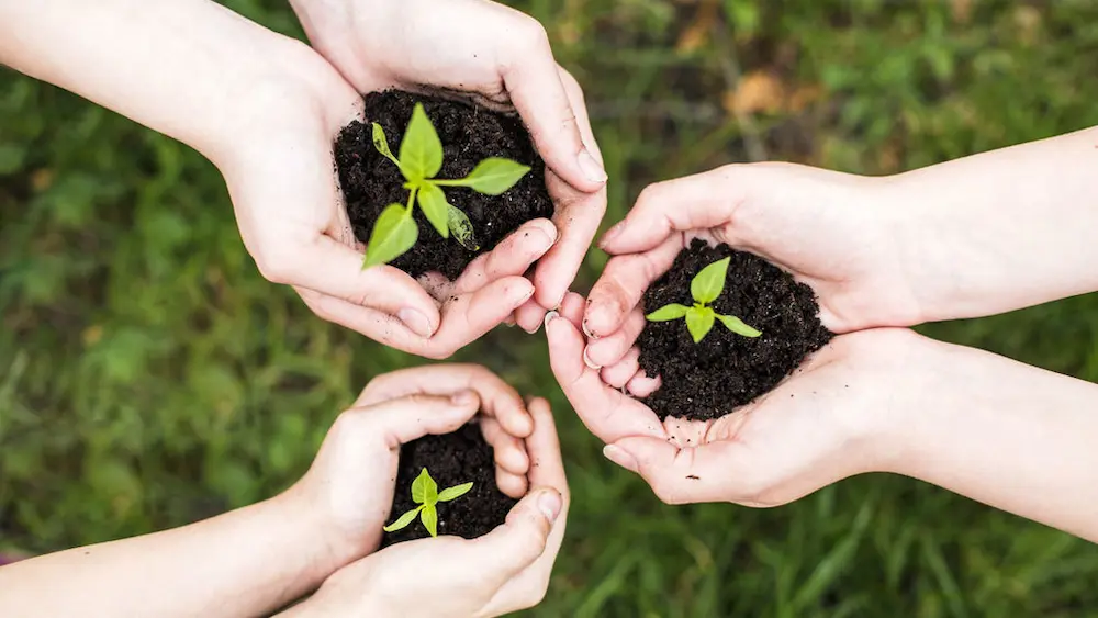 composter proteger environnement